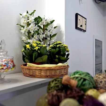 Le Magnolie Πομπηία